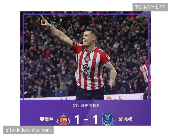 桑德兰成升班马最大惊喜 均衡攻防助其稳居积分榜中上游